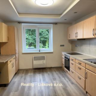 Pronájem bytu 2+1 49 m² Ústí nad Labem