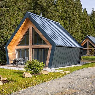 Prodej rodinného domu 85 m² Železná Ruda