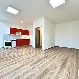Pronájem bytu 1+kk, garsoniery 46 m² Nepomuk