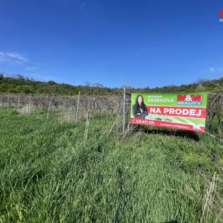 Prodej zemědělské půdy 9 215 m² Sedlec