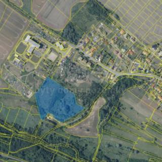 Prodej stavební parcely 30076 m² Hrušovany