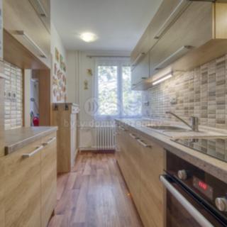 Prodej bytu 3+1 64 m² Kralovice, Průběžná