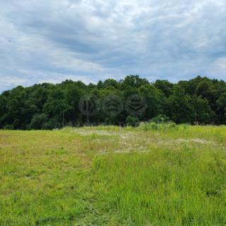 Prodej stavební parcely 1 309 m² Stará Ves nad Ondřejnicí Stará Ves