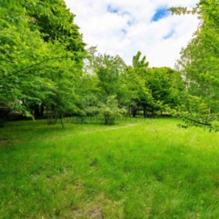 Prodej stavební parcely 844 m² Březová Leskovec