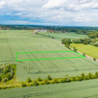 Prodej zemědělské půdy 6094 m² Sluštice