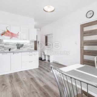 Prodej bytu 1+1 33 m² Ústí nad Labem Severní Terasa, Šípková