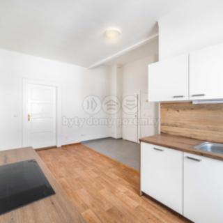 Pronájem bytu 1+1 60 m² Plzeň