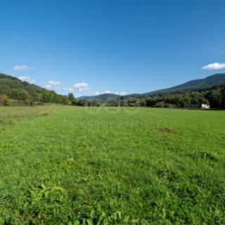 Prodej zemědělské půdy 25 164 m² Spělkov
