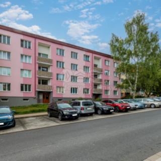 Prodej bytu 2+1 61 m² Cheb, Lesní