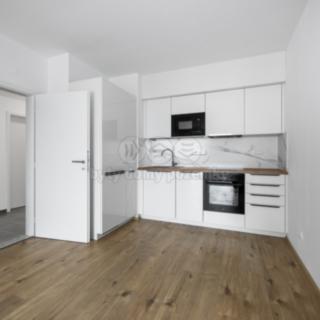 Pronájem bytu 2+kk 66 m² Plzeň