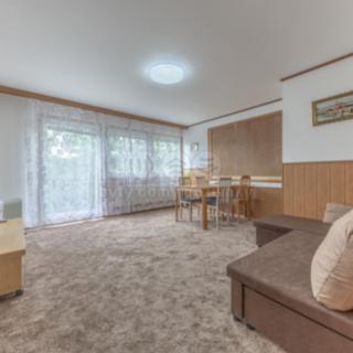 Prodej bytu 3+1 58 m² Vítkovice