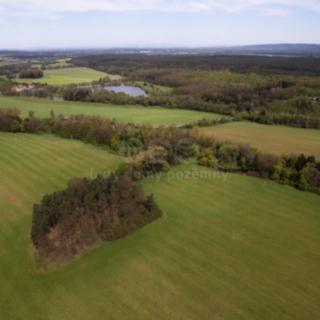 Prodej lesa 7 342 m² Borohrádek