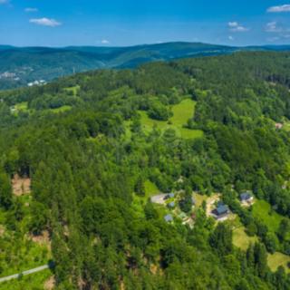 Prodej lesa 6 085 m² Tanvald Šumburk nad Desnou