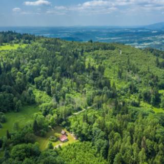 Prodej lesa 29 930 m² Chuchelna