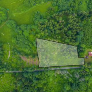 Prodej lesa 7528 m² Chuchelna