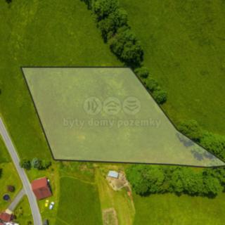Prodej louky 3 867 m² Zlatá Olešnice Návarov