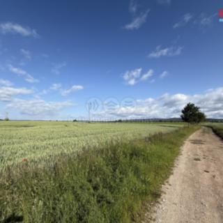 Prodej zemědělské půdy 11 877 m² Rožmitál pod Třemšínem Skuhrov