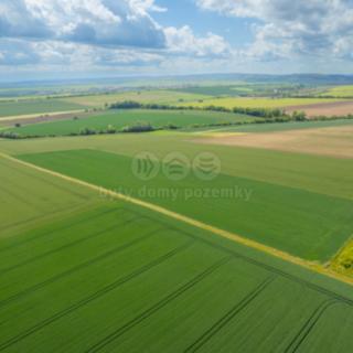 Prodej zemědělské půdy 37901 m² Šumice