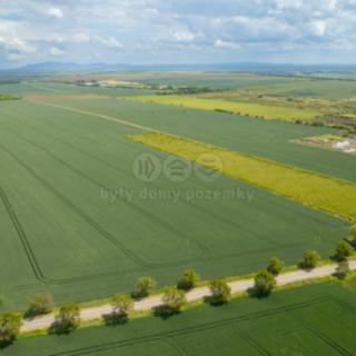 Prodej zemědělské půdy 6332 m² Šumice