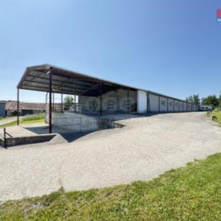 Pronájem skladu 427 m² Zubčice