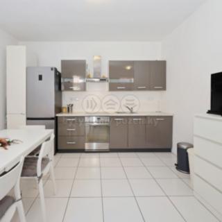 Pronájem bytu 1+kk, garsoniery 50 m² Ledeč nad Sázavou