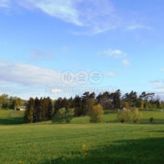 Prodej lesa 3111 m² Unhošť