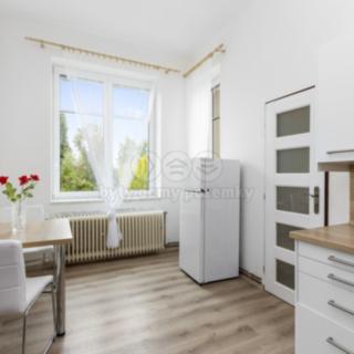 Pronájem bytu 1+1 48 m² Svitavy