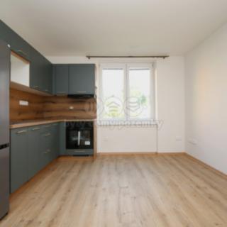 Pronájem bytu 1+1 39 m² Týniště nad Orlicí, Družstevní
