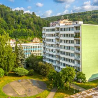 Prodej bytu 1+1 29 m² Děčín I-, Plavební