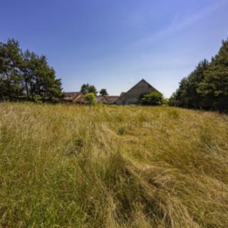 Prodej zemědělské půdy 1 959 m² Svatý Mikuláš Lišice