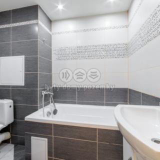 Pronájem bytu 2+1 53 m² Chodov