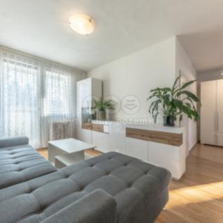 Pronájem bytu 2+1 39 m² Mnichovo Hradiště, V Cestkách