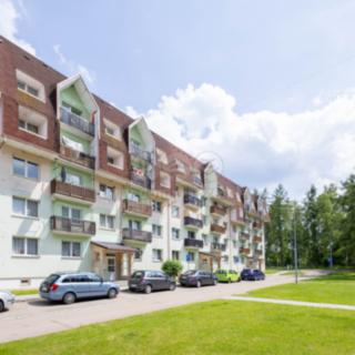 Pronájem bytu 1+1 33 m² Ralsko Kuřívody