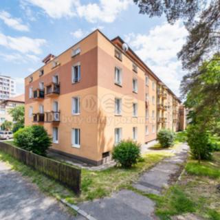 Pronájem bytu 1+1 38 m² Příbram VII, Okružní