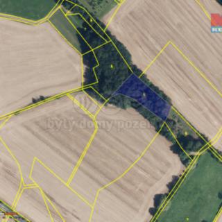 Prodej lesa 2585 m² Železnice