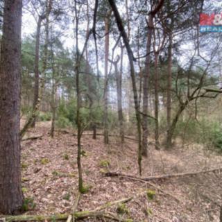 Prodej lesa 2 768 m² Miloňovice Sudkovice