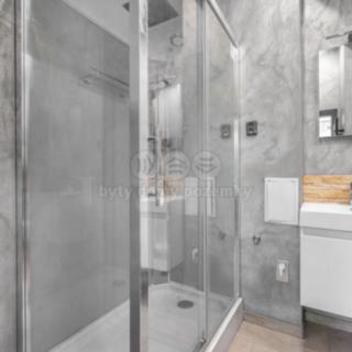 Pronájem bytu 1+kk a garsoniéry 34 m² Petrovice