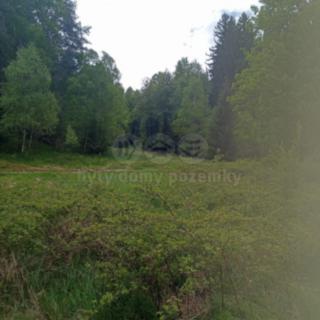 Prodej lesa 4526 m² Dlouhý Most
