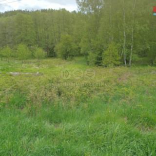 Prodej louky 6 962 m² Kořenov Rejdice
