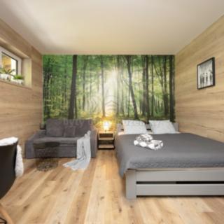 Prodej bytu 1+kk, garsoniery 31 m² Vrbno pod Pradědem