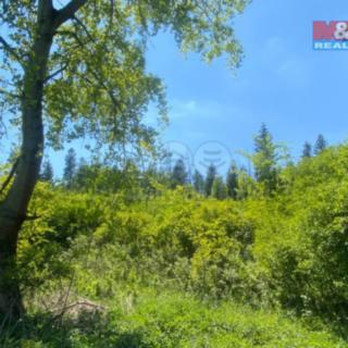 Prodej lesa 15167 m² Kropáčova Vrutice