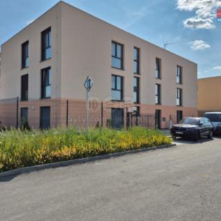 Pronájem bytu 2+kk 53 m² Plzeň Litice