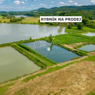 Prodej vodní plochy 3 377 m² Ostružno