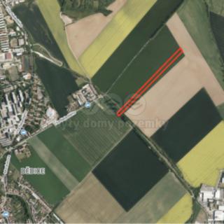 Prodej zemědělské půdy 1 557 m² Vyškov Dědice