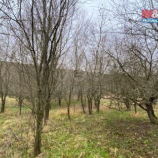 Prodej lesa 11 619 m² Šarovy