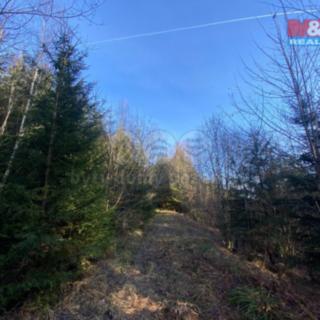 Prodej lesa 11769 m² Ústí