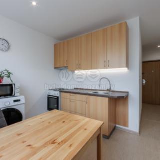 Prodej bytu 1+1 40 m² Chodov