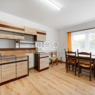 Pronájem bytu 2+1 49 m² Trpín