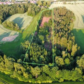 Prodej lesa 17 153 m² Božejov
