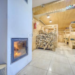 Prodej hotelu a penzionu 272 m² Jesenice, U Velkého rybníka
